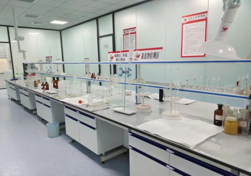 河北邢臺(tái) “小巨人”成香餑餑，領(lǐng)跑產(chǎn)業(yè)技術(shù)開(kāi)發(fā)加速度